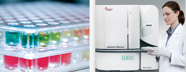 Sul Diagnóstica MICROBIOLOGIA -  BECKMAN COULTER